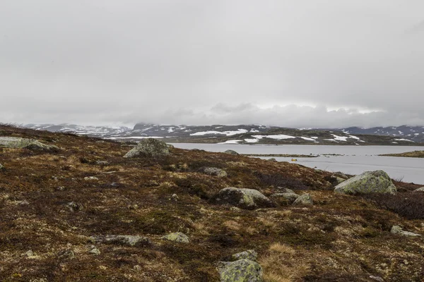 Nebel über der Tundra — Stockfoto