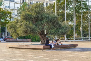 TEL AVIV, ISRAEL - 17 Eylül 2017: Tanımlanamayan insanlar Rabin Meydanı 'ndaki eski bir zeytin ağacının gölgesinde dinleniyor.