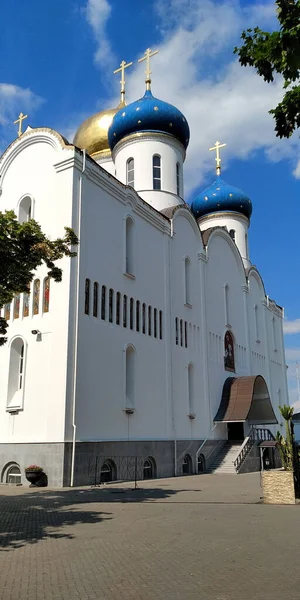 Odessa Ucrania Junio 2019 Esta Catedral Honor Icono Fuente Dadora — Foto de Stock