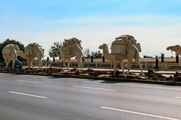 Gaziantep Turkey Október 2020 Teve Karaván Egy Töredéke Egy Modern — Stock Fotó