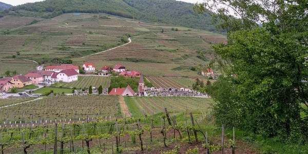 Spitz Austria May 2019 Hills Vineyards Wachau Valley Small Danube — Φωτογραφία Αρχείου