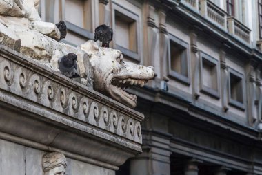 FLORENCE, İTALYA - 12 Eylül 2018 Yırtıcı bir hayvanın mermer kafasının yanındaki tarihi bir heykelin kıymığında güvercinler.