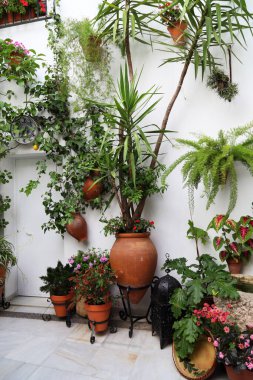 CORDOBA, SPAIN - 23 Mayıs 2017: Bu geleneksel olarak çiçeklerle süslenmiş, verandanın bir parçası.