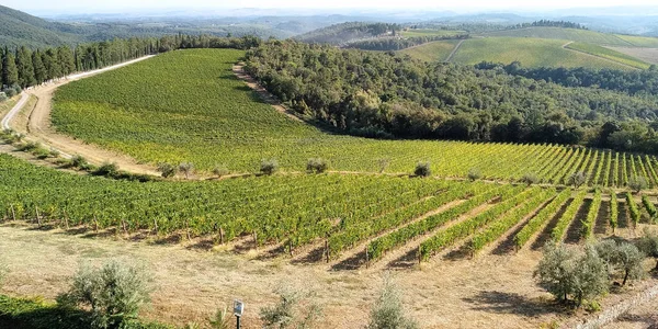 Questa Una Vista Sulla Valle Collinare Del Chianti Toscana Coperta — Foto Stock