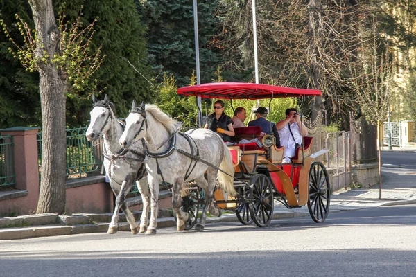 Karlovy Vary Czech April 2012 Guided Tour Vintage Horse Drawn — Stock Photo, Image