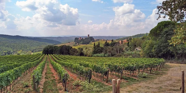 Tuscany イタリア 2018年9月15日バディア修道院近くのキアンティ渓谷にブドウ畑が広がる風景です — ストック写真