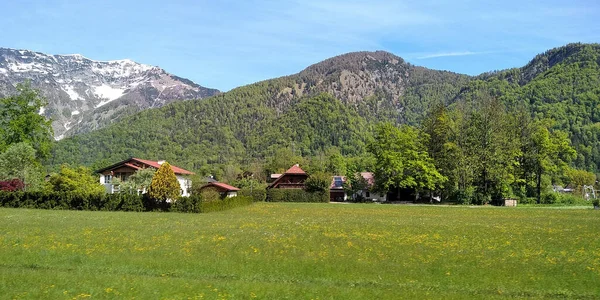 Ziesen Austria Mayıs 2019 Avusturya Göl Bölgesinin Kırsal Bir Manzarası — Stok fotoğraf