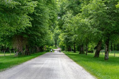 HERRENINSEL, GERMANY - MAY 24, 2024: This is the alley across the island to Herrenchiemsee Castle.