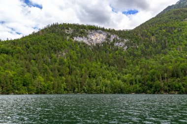 KONIGSSEE, GERMANY - 19 Mayıs 2024: Bunlar Bavyera 'daki Konigssee Dağı' nın ormanlı ve ıssız kıyıları..