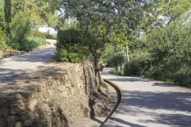 BARCELONA, SPAIN - 13 Mayıs 2017: Bu Park Guell 'deki dik dağ patikalarından biri, yılan desenli bir şekilde parkın yamaçlarına tırmanıyor..