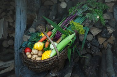 Ahşap arka plan üzerinde toplanan hasat ile hasır sepet. Kabak, kabak, domates, Mısır, salatalık, soğan, pancar, havuç. Vegan kavramı. Doğal organik tarım ürünleri