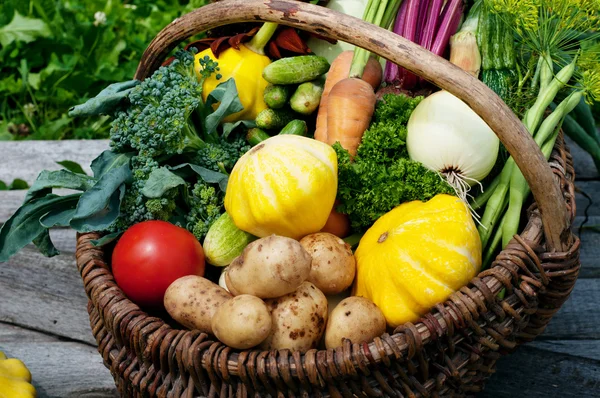 Squash, zucchini, tomatoes, corn, cucumbers, onions, beets, carrots in a wicker basket on a grass background. Vegan concept. Natural organic farm products. Summer vegetable background (wallpaper) — Stock Photo, Image