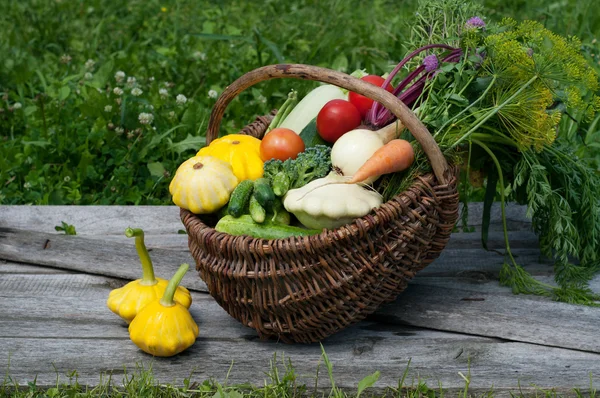 Wicker basket with harvest collected on a background of wooden planks and grass. Squash, zucchini, tomatoes, corn, cucumbers, onions, beets, carrots. Vegan concept. Natural organic farm products — Stock Photo, Image