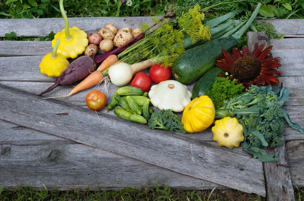 Squash, zucchini, tomatoes, corn, cucumbers, onions, beets, carrots on a wooden board. Vegan concept. Natural organic farm products. Summer vegetable background (wallpaper). Space for text — Stock Photo, Image