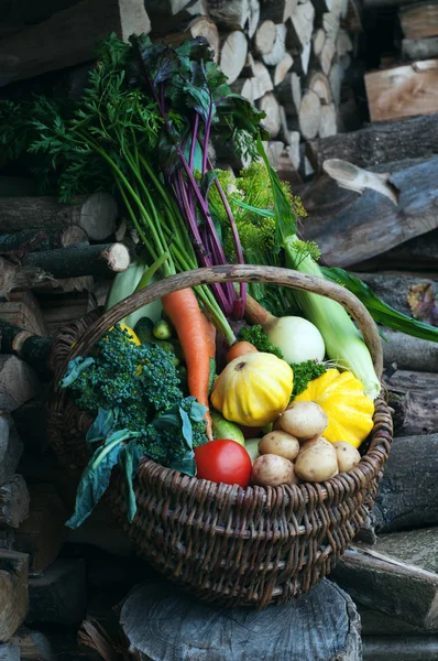 Wicker basket with the collected harvest on the background of wood. Squash, zucchini, tomatoes, corn, cucumbers, onions, beets, carrots. Vegan concept. Natural organic farm products — Stock Photo, Image