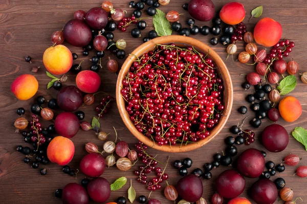 Nyári berry háttér (tapéta). Lemez, piros bogyós gyümölcsök ribizli a barna fa deszkán. Közelében egy szétszórt más gyümölcsök és bogyók, mint a egres, feketeribizli, sárgabarack és szilva. Hely, a szöveg. Vegán koncepció — Stock Fotó