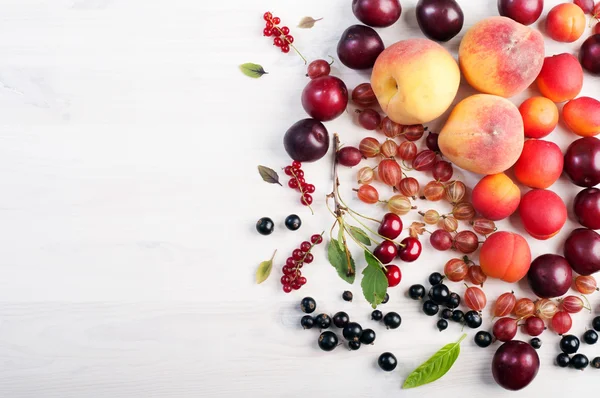 夏日浆果背景 （墙纸）。新鲜成熟的水果和浆果，例如醋栗、 樱桃、 红色和黑色的黑醋栗、 桃李白色背景上的散射。用于写入的文本的地方。素食主义者概念 — 图库照片