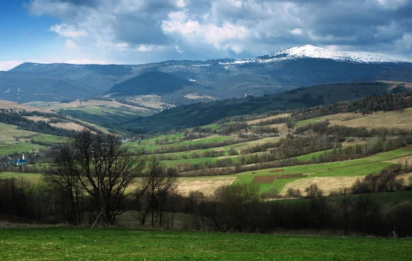 Wiosenny Krajobraz Górami Śniegiem Łąkami Zieloną Trawą Karpaty Ukraina — Zdjęcie stockowe