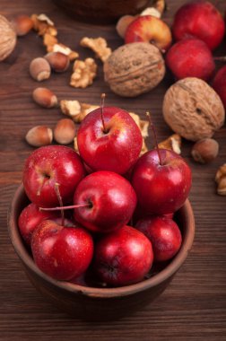 Red apples in a shallow earthenware dish on a background of walnut and hazelnut. Autumn Still Life. Macro shot.