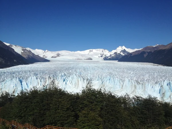 O Perito Moreno — Fotografia de Stock