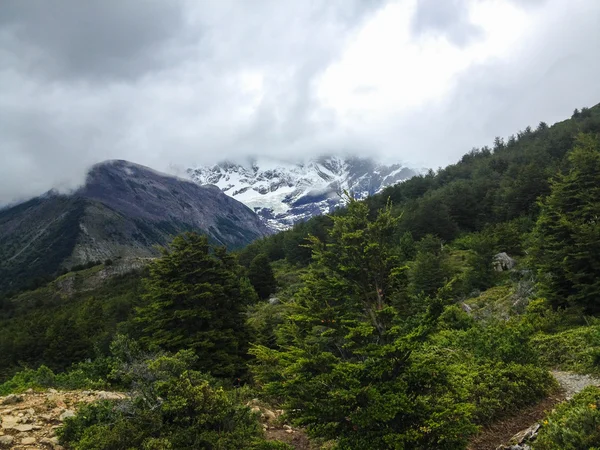 Torres del paine — Fotografia de Stock