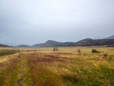 Patagonya 'daki Torres del Paine Ulusal Parkı