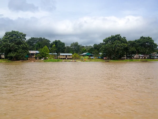 Amazone Rivière Vies — Photo