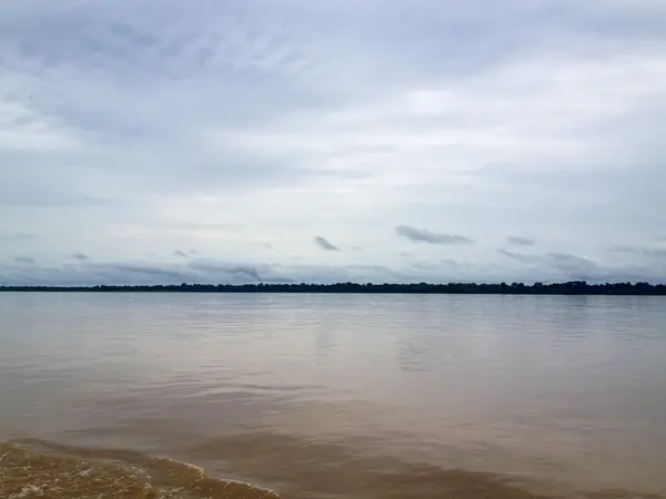 Amazon River Lifes — Stock Photo, Image