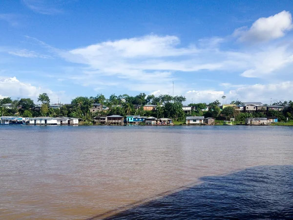 Río Amazonas Vida — Foto de Stock