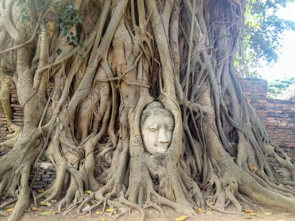 Ayutthaya Chrámy Životní Styl Thaiand — Stock fotografie