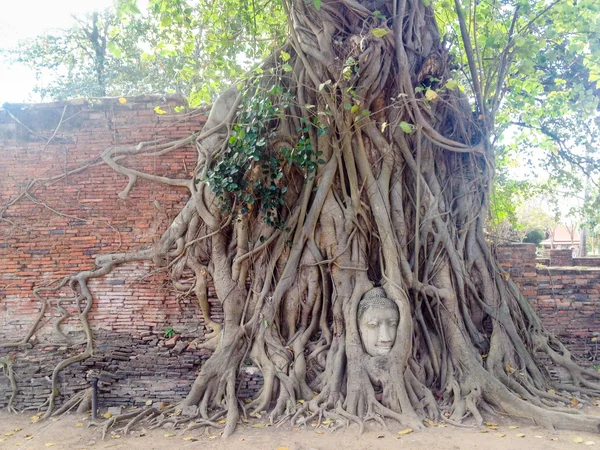 Ayutthaya Chrámy Životní Styl Thaiand — Stock fotografie