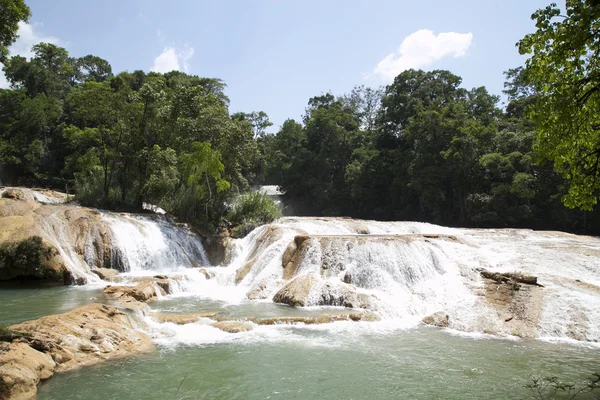 Cascadas de Agua Azul