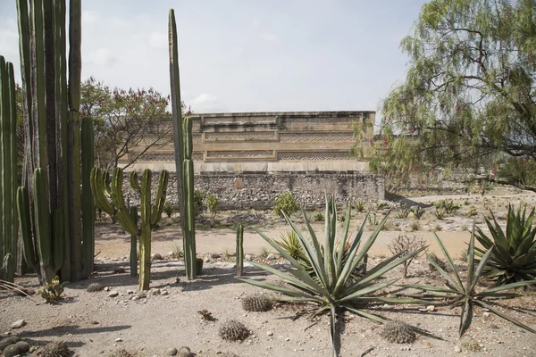 Mitla Oaxaca arkeolojik sitesi