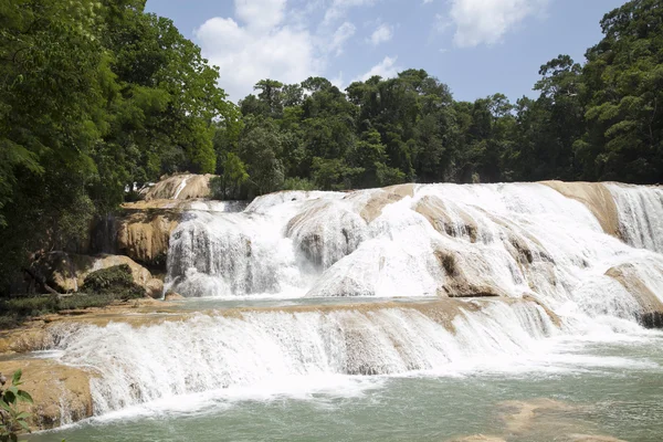 Su Chiapas Meksika durumunda düşüyor