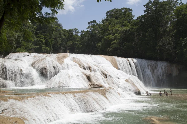 Su Chiapas Meksika durumunda düşüyor