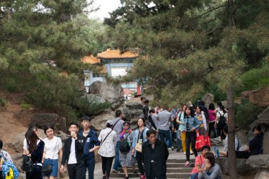 Geleneksel Çin tapınağı