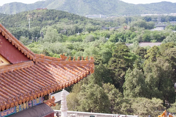 Geleneksel Çince Tapınağı yakın çekim — Stok fotoğraf