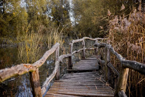 Parkın güzel manzarası