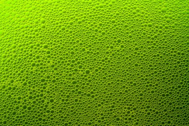 foam bubbles green clipart