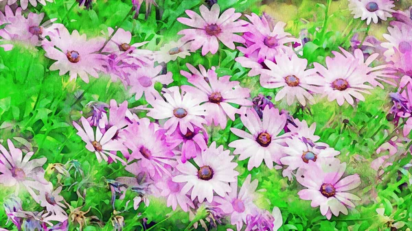 Цифровой Цветочный Фон Акварель Красочные Цветы Цвете — стоковое фото