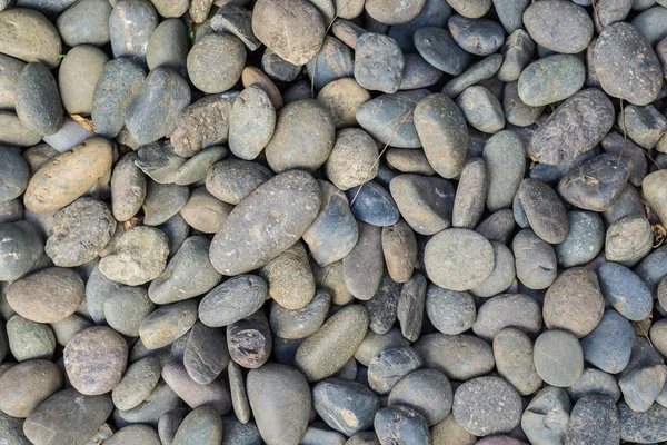 Round gravels texture — Stock Photo, Image