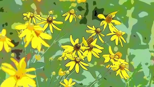 Ljust gul rudbeckia blomma footage bakgrund — Stockvideo