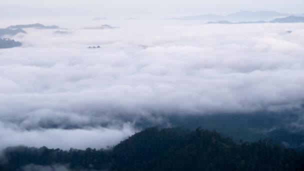 Paysage avec le temps de brouillard — Video