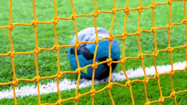Fotboll på gräs med netto — Stockvideo