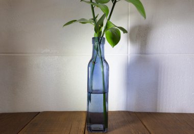 Ahşap masa üzerinde açık mavi vazo