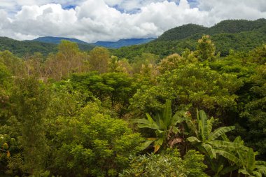 Orman Dağları ve bulutlu gökyüzü