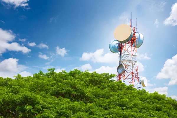 Torre di telecomunicazione sopra l'albero — Foto Stock