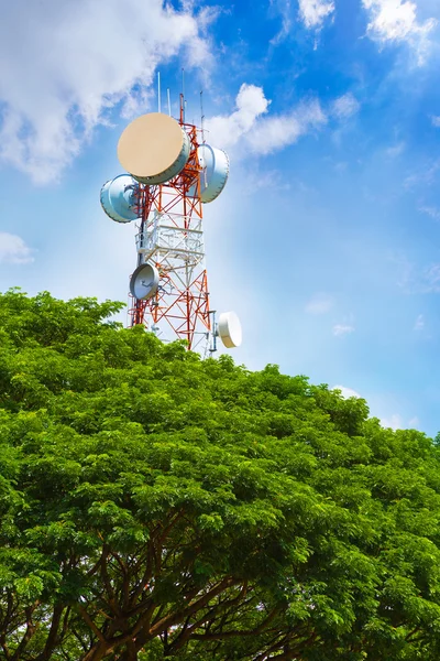 Torre di telecomunicazione che raggiunge la cima dell'albero — Foto Stock