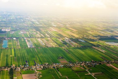 Pirinç tarlaları ve Tayland şehir havadan görünümü