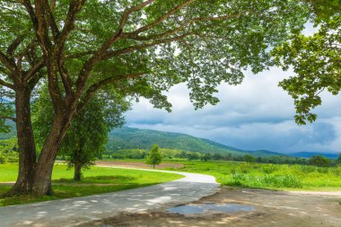 Yol içinde Huay Tung Tao, Chiang Mai, Tayland